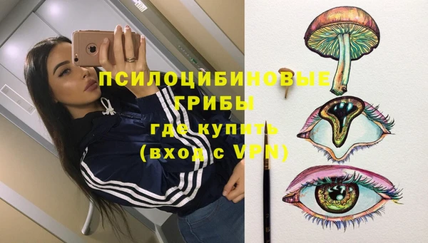 прущая мука Богородицк