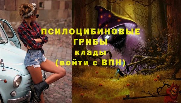 a pvp Богородск